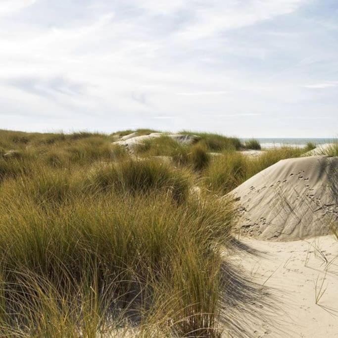 Le Rosa: Villa De Charme Entre Mer Et Pinede Quend Exteriör bild
