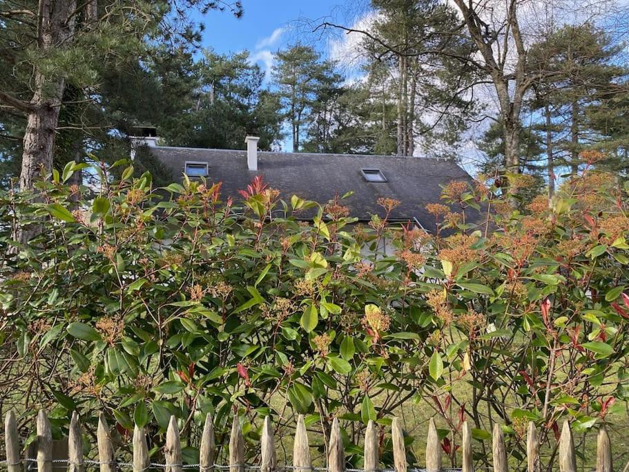 Le Rosa: Villa De Charme Entre Mer Et Pinede Quend Exteriör bild