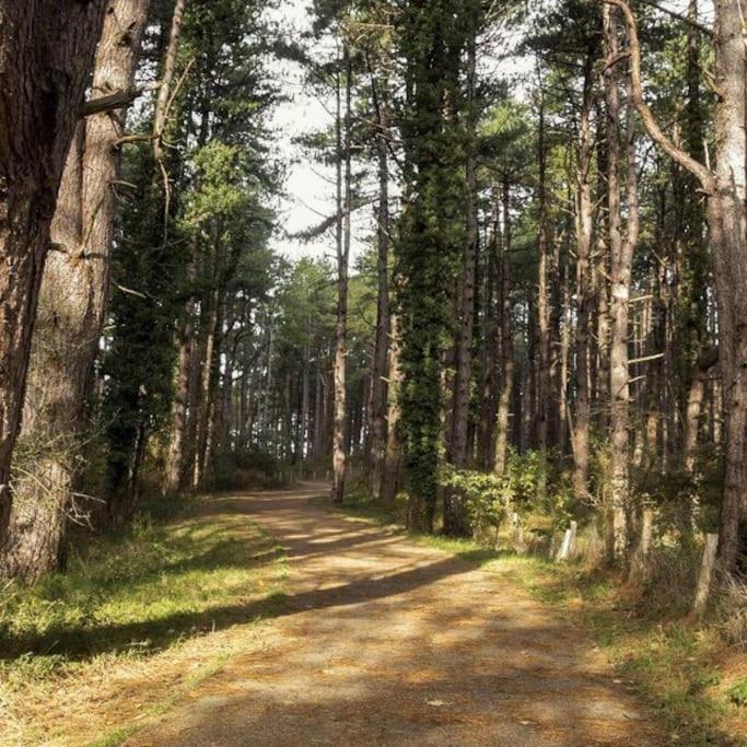 Le Rosa: Villa De Charme Entre Mer Et Pinede Quend Exteriör bild